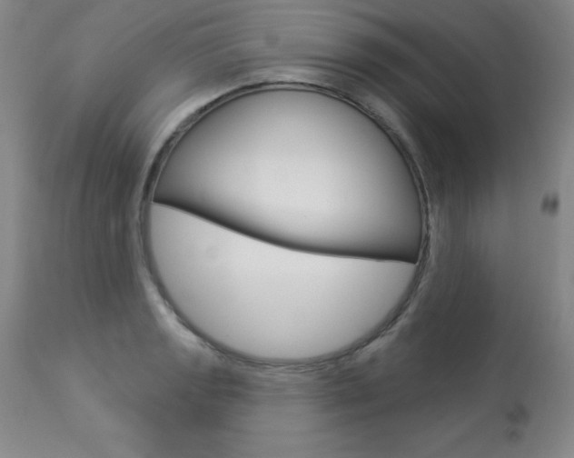 X0000113921133200909241323