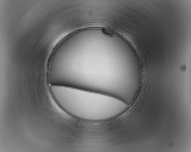 X0000113921135200909241323
