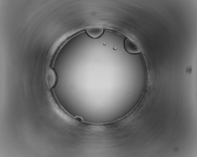 X0000113921136200909241323