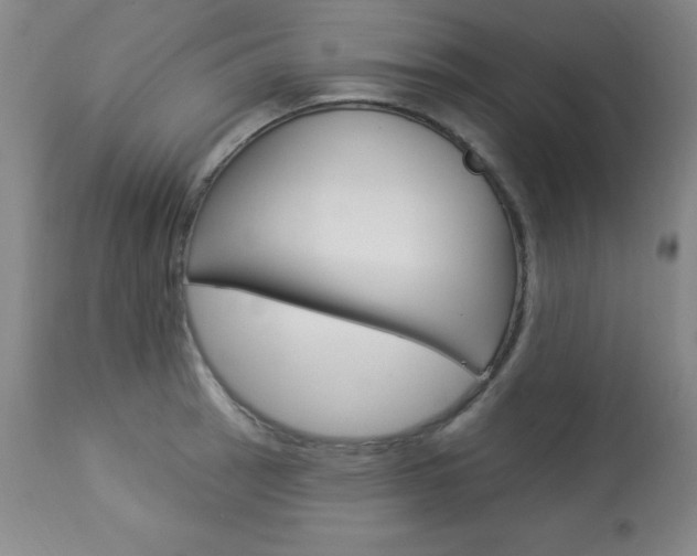 X0000113921137200909241323