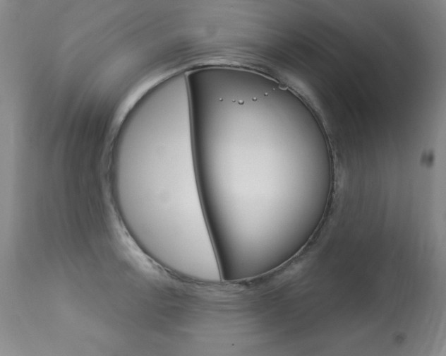 X0000113921138200909241323