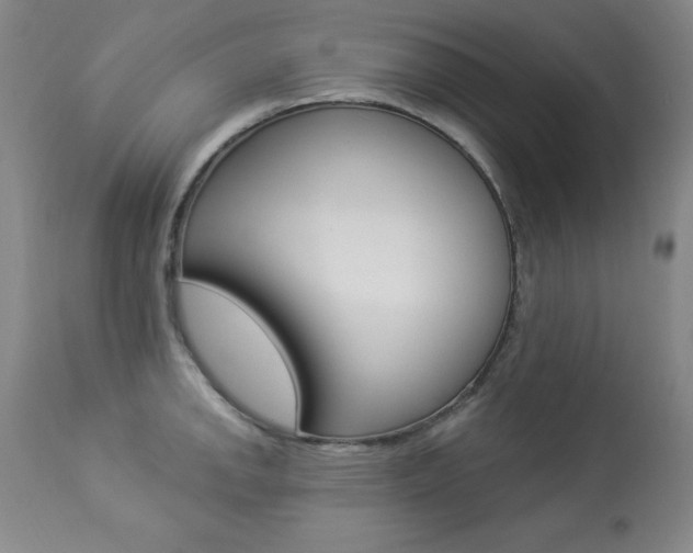 X0000113921142200909241323