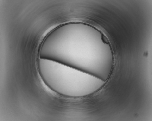 X0000113921143200909241323