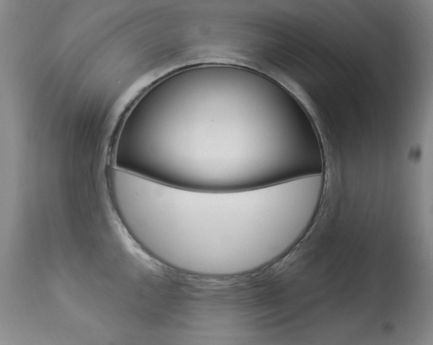 X0000113921144200909241323