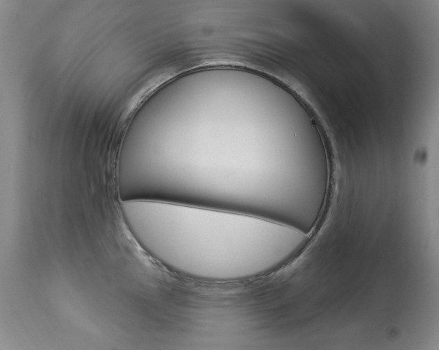 X0000113921145200909241323