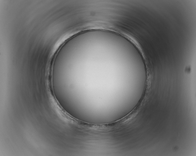 X0000113921146200909241323