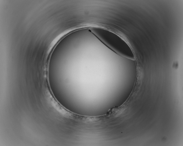 X0000113921148200909241323