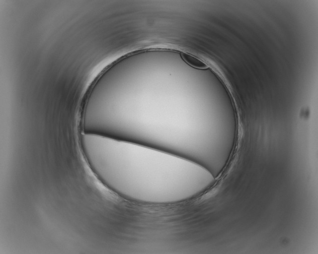 X0000113921149200909241323