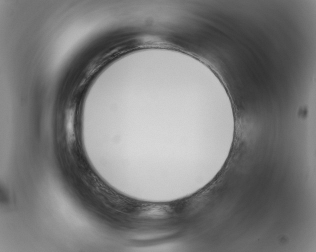 X0000113921150200909241323