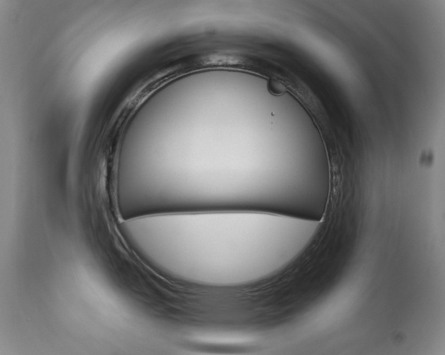 X0000113921151200909241323