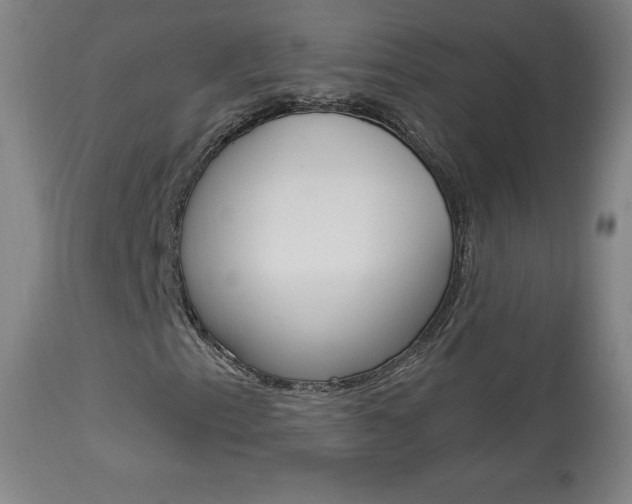 X0000113921153200909241322