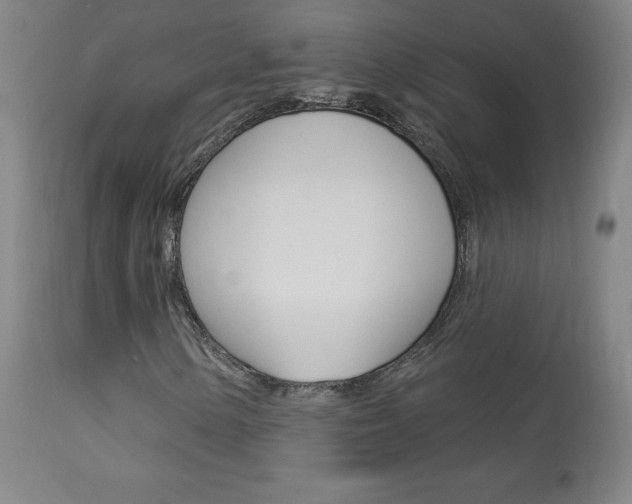 X0000113921154200909241322