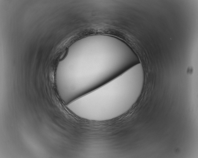 X0000113921155200909241322