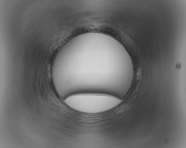 X0000113921156200909241322