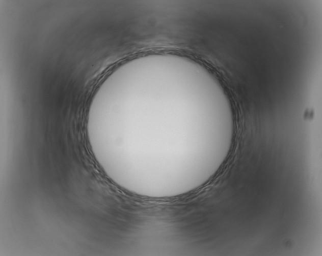 X0000113921157200909241322