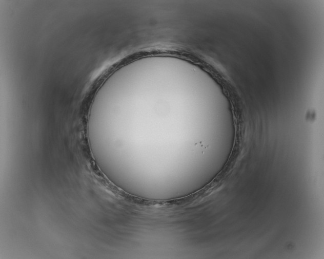 X0000113921160200909241322