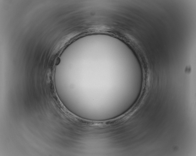 X0000113921161200909241322