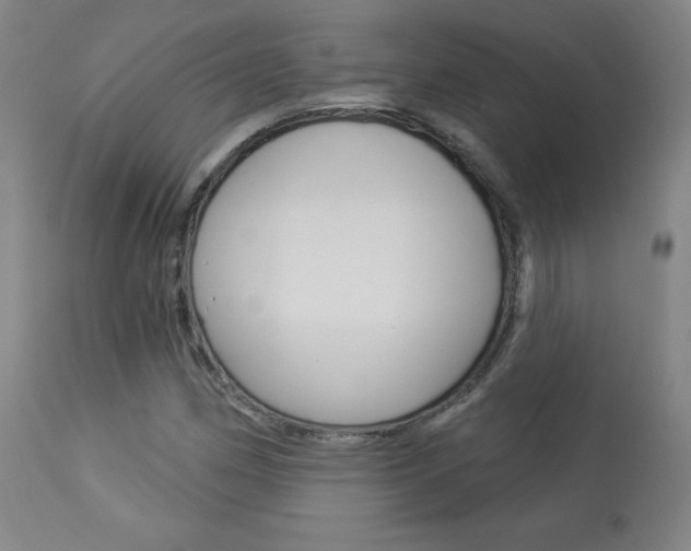 X0000113921162200909241322