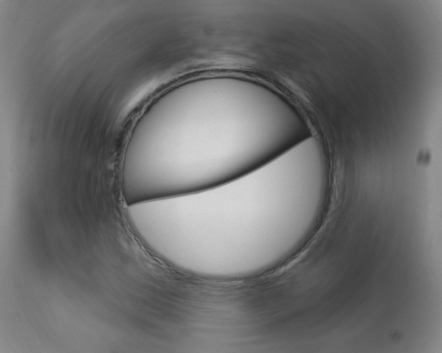 X0000113921163200909241322