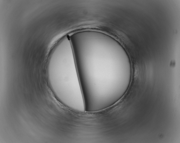 X0000113921164200909241322