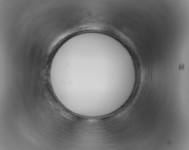 X0000113921166200909241322