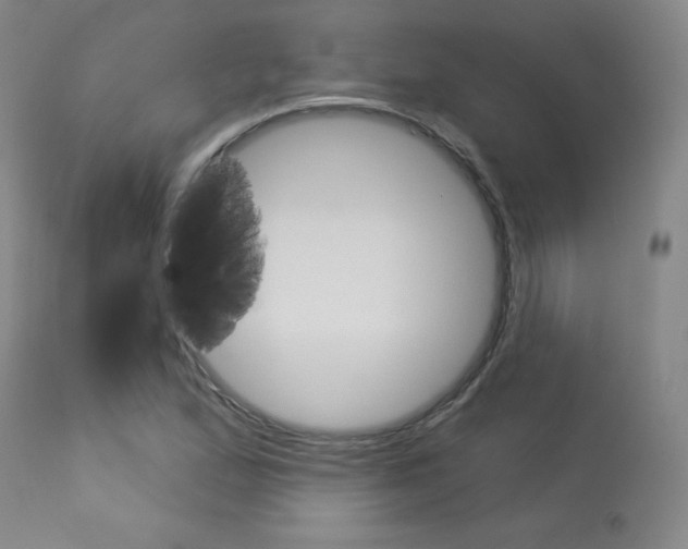 X0000113921167200909241322