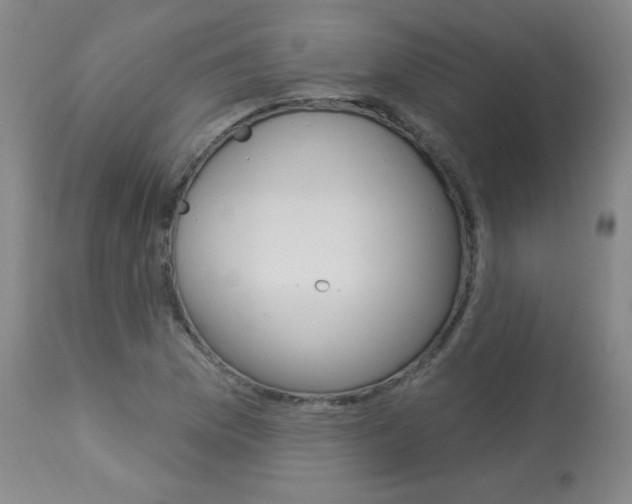 X0000113921169200909241322