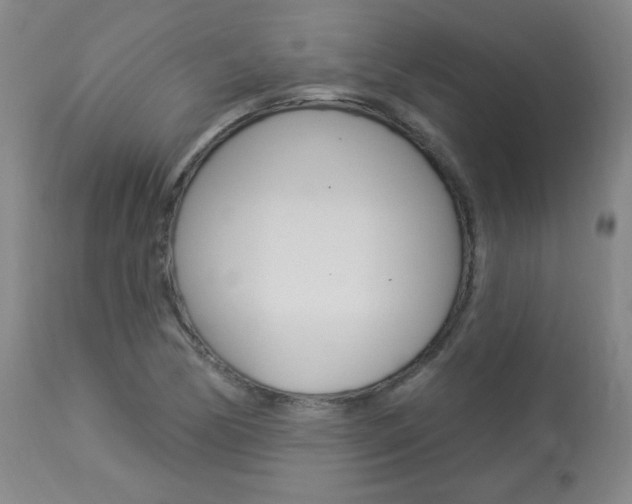 X0000113921170200909241322