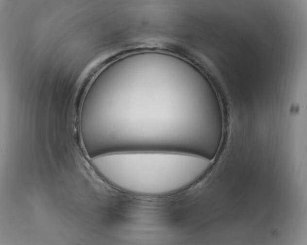 X0000113921172200909241322