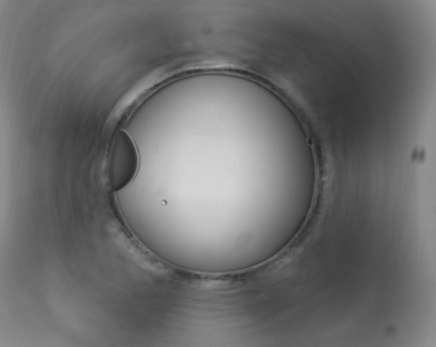 X0000113921173200909241322