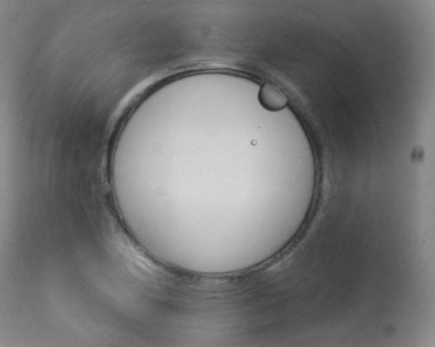 X0000113921174200909241322
