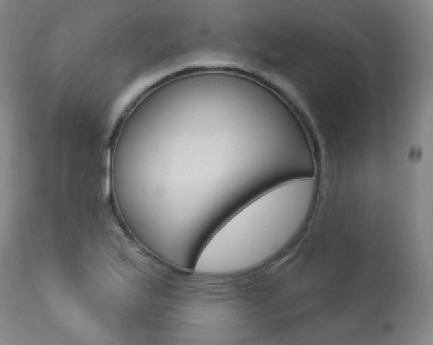 X0000113921175200909241322