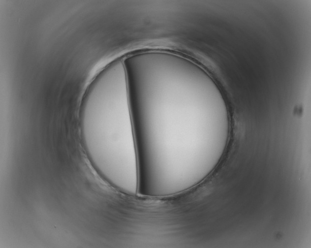X0000113921176200909241322