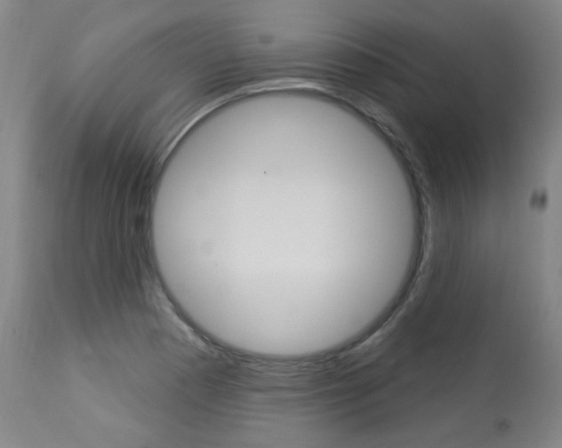 X0000113921177200909241322