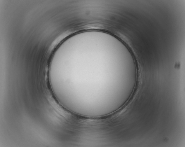 X0000113921179200909241322