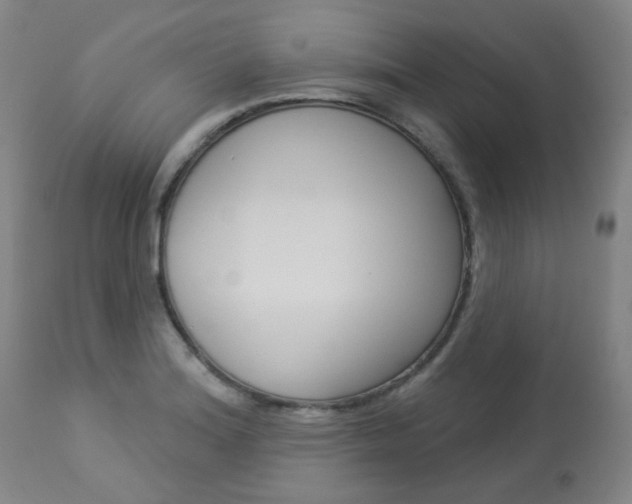 X0000113921180200909241322