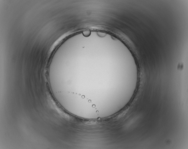 X0000113921182200909241322