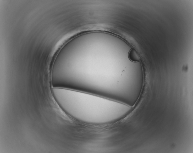 X0000113921184200909241322