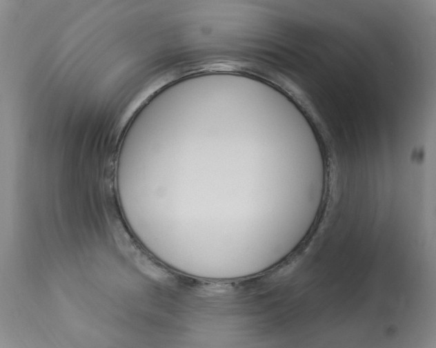 X0000113921186200909241322