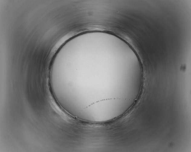 X0000113921187200909241322