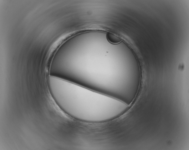 X0000113921188200909241322
