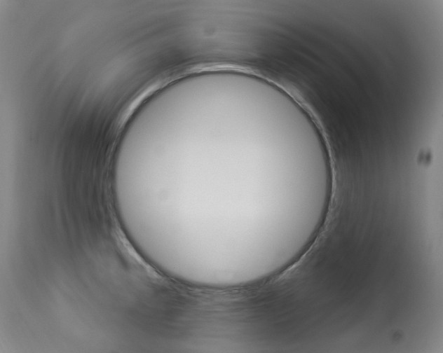 X0000113921189200909241322