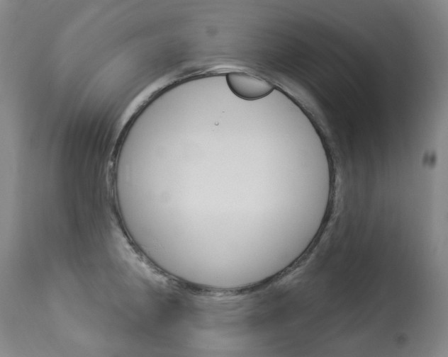 X0000113921190200909241322