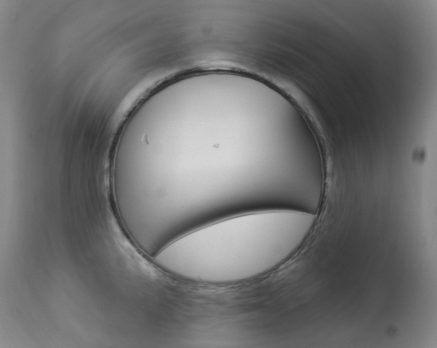 X0000113921191200909241322