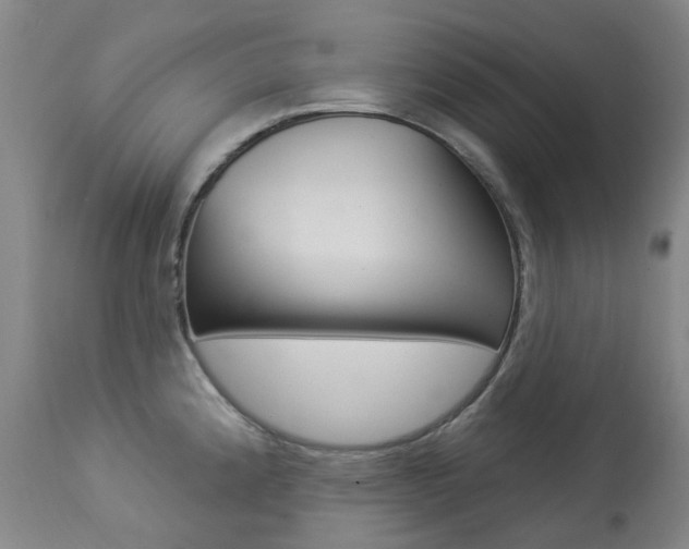 X0000113921192200909241322