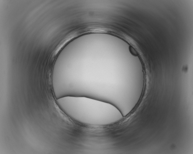 X0000113921194200909241322