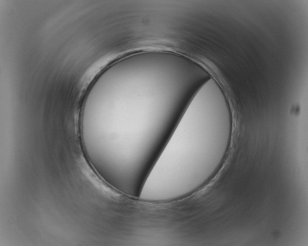 X0000113921196200909241322