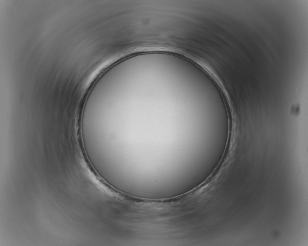 X0000113921197200909241322