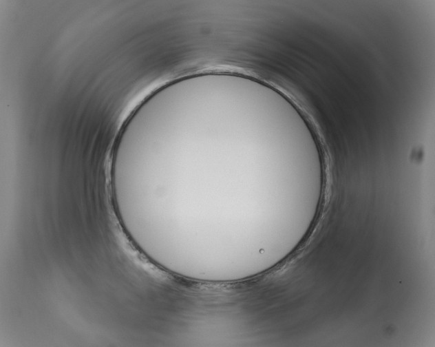 X0000113921198200909241322