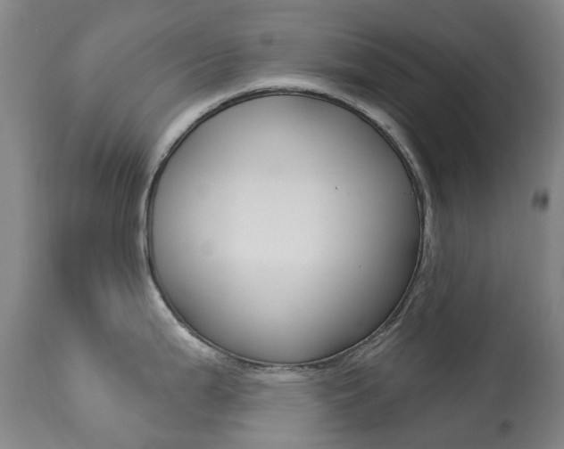 X0000113921199200909241322